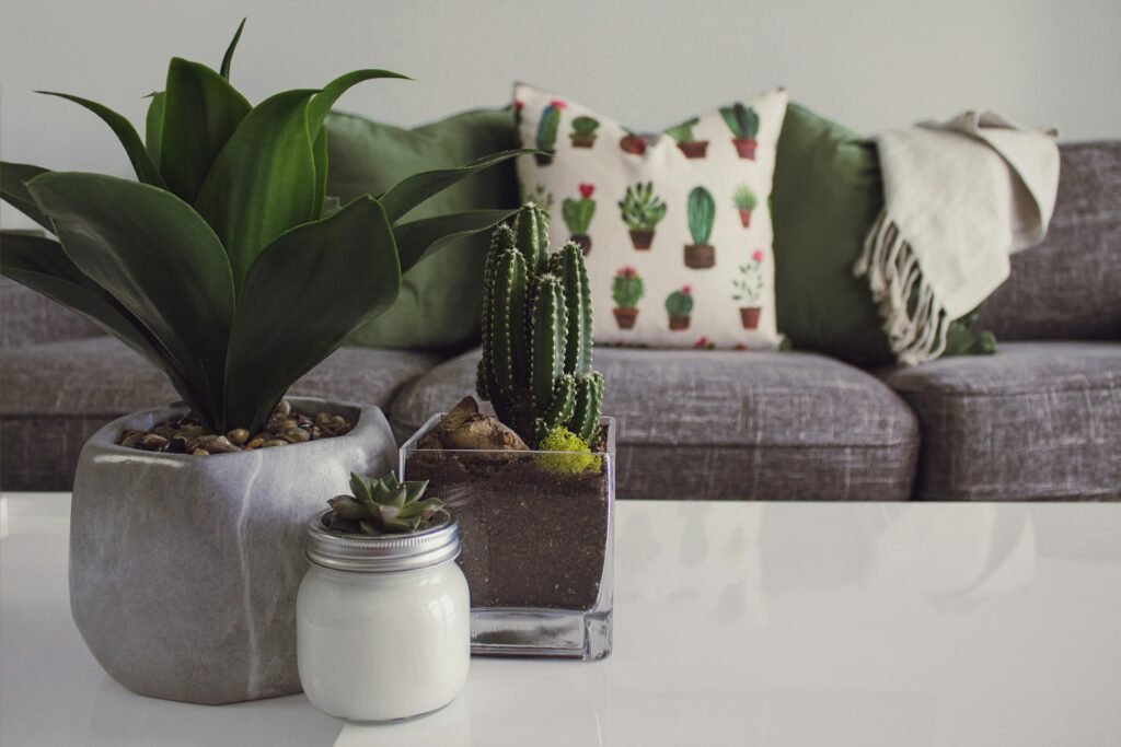 the artisan nation Modern living room featuring potted plants, cactus decor, and a cozy sofa.